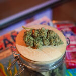 Since 420 Cannabis Club in Tenerife