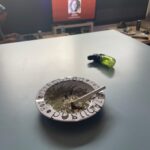Since 420 Cannabis Club in Tenerife