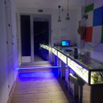 Since 420 Cannabis Club in Tenerife