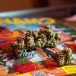 cannabis