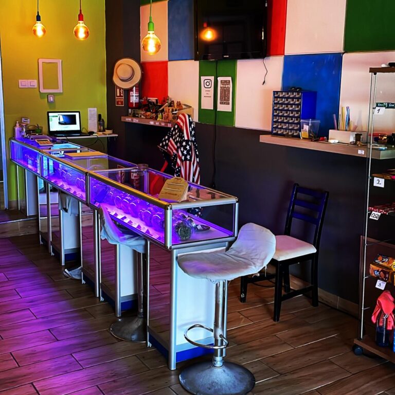 WhatsApp-kép, 2023-08-10, 15.26.23