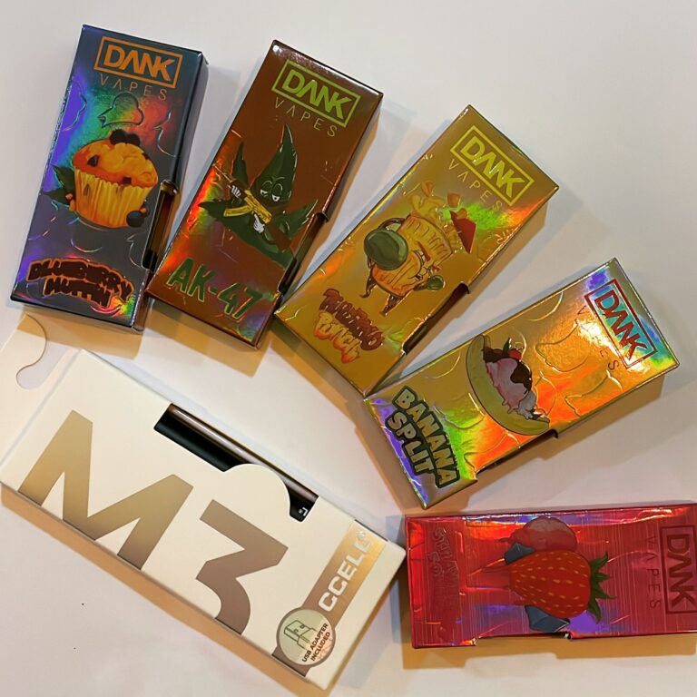 WhatsApp-kép, 2023-08-10, 15.37.51